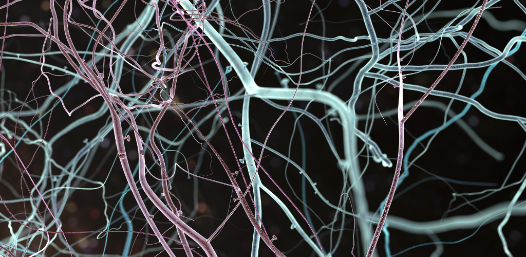 Trauma and the Nervous System Insights