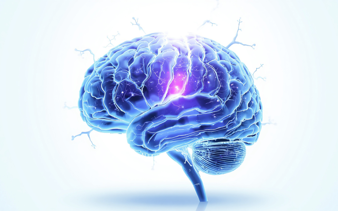 Understanding Neurofeedback: How the Brain Learns to Heal Itself